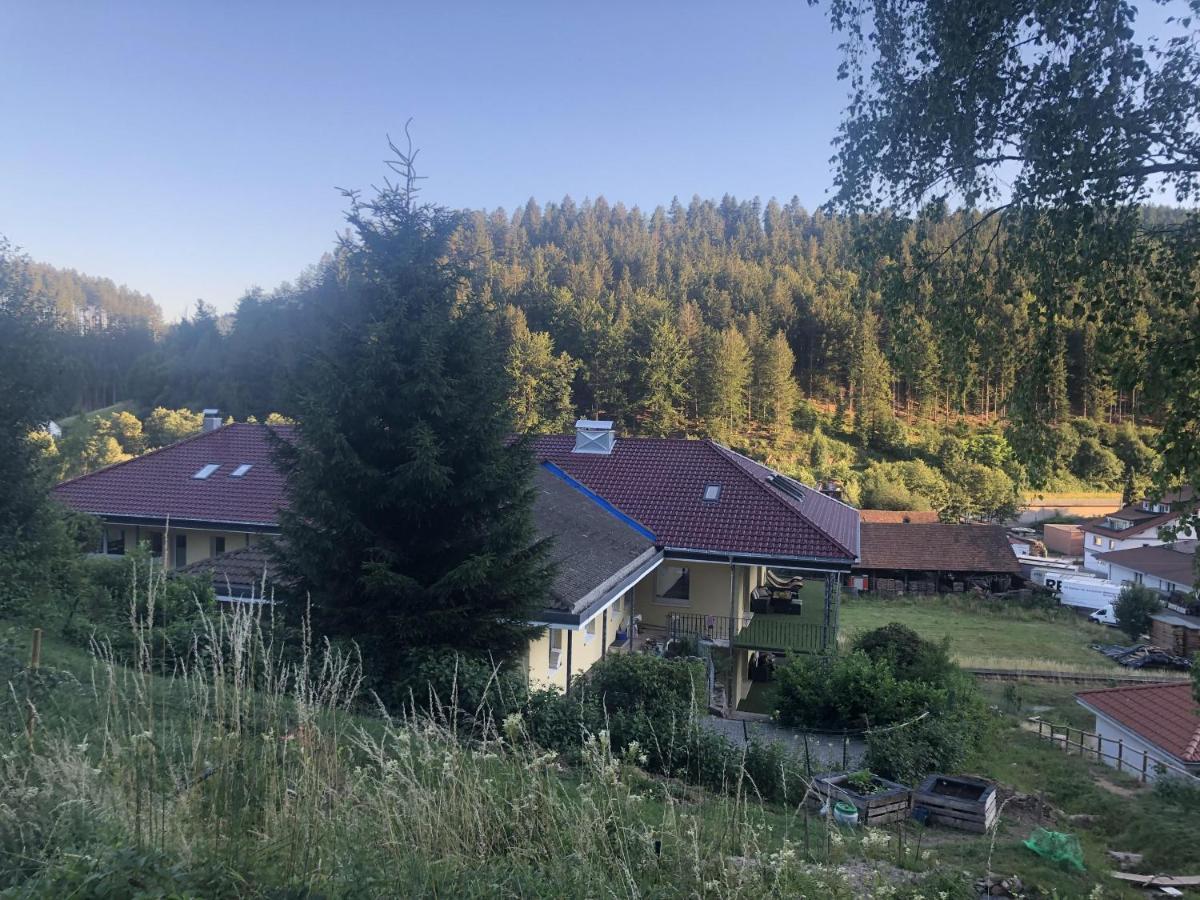 Ferienhaus Lacher Baiersbronn Bagian luar foto